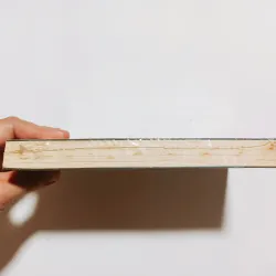 Four - Số Bốn - Veronica Roth 777209