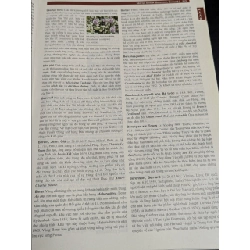 Từ điển bách khoa Britannica 799508