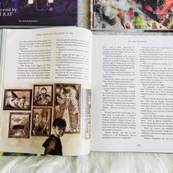 HARRY POTTER (Sách nhập) - Bộ 4 quyển Bìa cứng siêu đẹp 758753