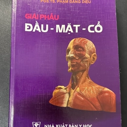Giải Phẫu Đầu - Mặt - Cổ