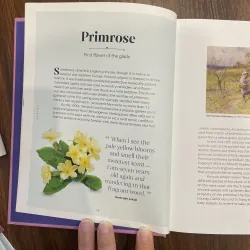 The Secret language of Flowers 998486