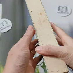 Yêu Em Từ Cái Nhìn Đầu Tiên - Cố Mạn 744698