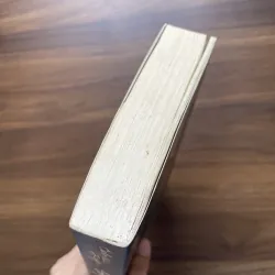 Bóng hình của gió - Carlos Ruiz Zafón 991476