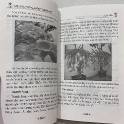 Cây cảnh trong phong thủy nhà ở 764640