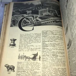 Petit larousse  799910