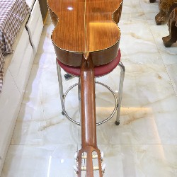 Đàn guitar Classic 6784