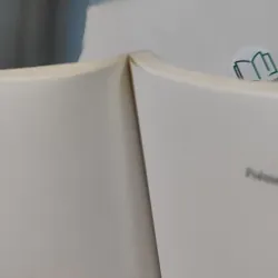 Thơ Nguyễn Bính Tuyển Chọn - Song ngữ Việt Pháp - Hoàng Hữu Đản dịch 798292