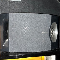 Loa BOSE 301V