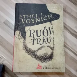 Ruồi Trâu tiểu thuyết 