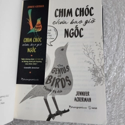 Chim chóc chưa bao giờ ngốc | Jennifer Ackerman 517750