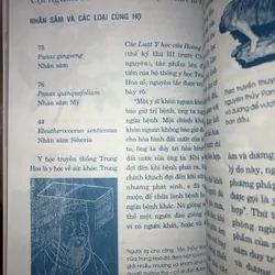 Thảo dược & tình yêu  714029