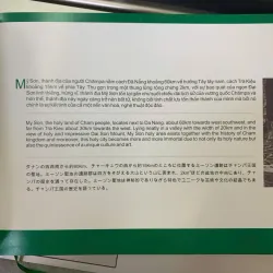 THÁNH ĐỊA MỸ SƠN - NGUYỄN VĂN BÌNH (CHỦ BIÊN) 751395