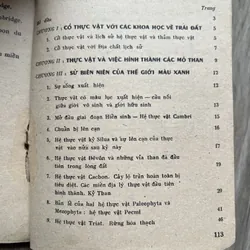 📖 Giới thực vật trong lịch sử trái đất 719242