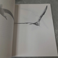 JONATHAN LIVINGSTON SEAGULL - RICHARD BACH 538932