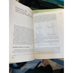 Principles of Biochemistry : General Aspects - Emil L. Smith & Robert L. Hill 448993