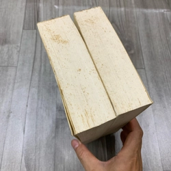 Tiểu thuyết thứ năm, tác giả và tác phẩm. Bộ 2 tập. 1a2.  507721