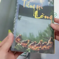 Tiếng Gọi Lòng - Truyện Công Giáo 776144