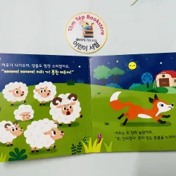 Set boardbook tiếng Hàn cho bé B27 1040781