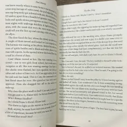 The Bee Sting - Paul Murray 731957