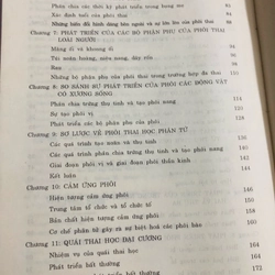 PHÔI THAI HỌC NGƯỜI 470879