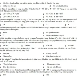 Tài liệu tham khảo kinh tế học vi mô - Bộ đề ôn thi cuối kỳ UEH bản đẹp UEH