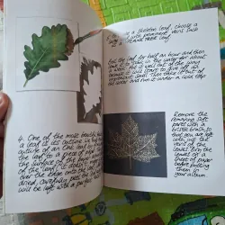 The Secret Book of the Gnomes - Volume 18 989787