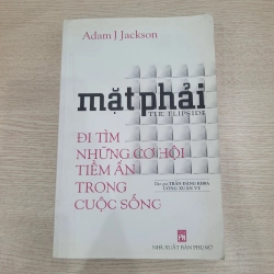 Mặt Phải (The Flipside) - Adam J. Jackson 539303