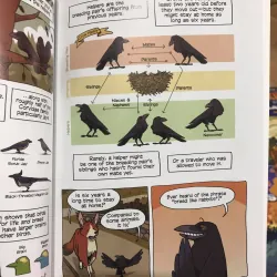 Science Comics (Sách nhập) - Full bộ 32 quyển mới nhất 1038292