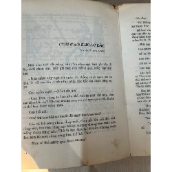 Câu truyện trong rừng 763613