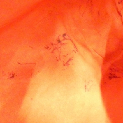 Túi xách vai Louis Vuitton Damier Sistina MM N41541 - Hàng hiệu Chính hãng 767816