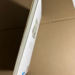 Mở mắt ra là mùa lá rụng 573851