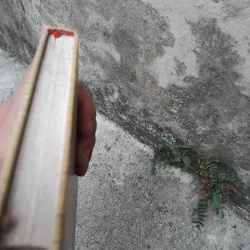 Truyện ngắn Sê khốp ( Tsekhov )  1025107