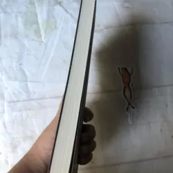 Người Ếch - Shichiri Nakayama 694561