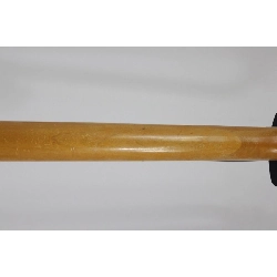 ＡＲＩＡ ＰＲＯ ＩＩ ＭＡ－１００ - Hàng hiệu Authentic 885010