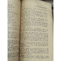 VIỆT NAM VĂN HỌC SỬ TRÍCH YẾU - NGHIÊM TOẢN