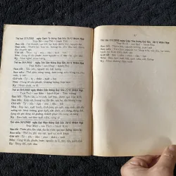 Tam Tông Miếu ( sách tự in ?) 1046000