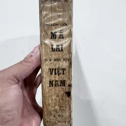 Nguồn gốc Mã Lai của dân tộc Việt Nam - Bình Nguyên Lộc 749116