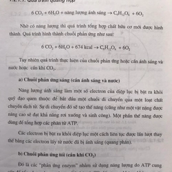 Công nghệ xử lý rác thải và chất thải rắn 471581