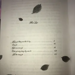 Ngày gió không còn thổi lá bay  1030206