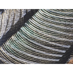 Đai lưng túi, đai lưng nhuộm, hoàn thiện vàng, họa tiết toàn bộ, hai mặt - Hàng hiệu Authentic 875964