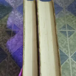 Lịch sử văn hóa Trung Quốc ( 2 tập) 598330