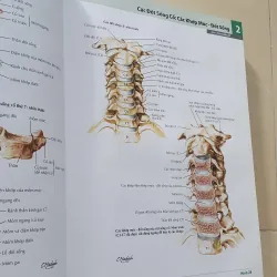 ATLAS 7 GIẢI PHẪU  1008119