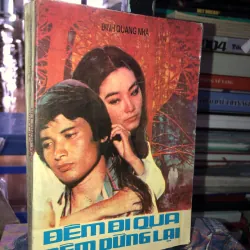 Đêm đi qua đêm dừng lại - Đinh Quang Nhã