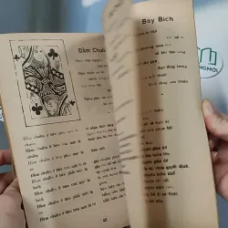 [XƯA] Bói Bài - Xem Sự Thành Bại Trên Đường Đời (1970) - Huỳnh Liên Tử 775994