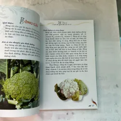 28 món ăn dành cho người làm việc trí óc  598308