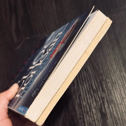 Combo Cuộc nổi loạn của botchan + ngày 210 - Natsume Soseki 519470