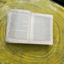 ROGET’S THESAURUS 6 SIXTH EDITION- EDITED BY BARBARA ANN KIPFER, Ph.D. 603308