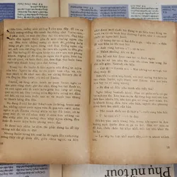 VH cổ điển Pháp: BÀ BOVARY 727146