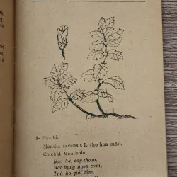 35 cây thuốc dễ tìm, trị 7 bệnh thường gặp - Lương y Nguyễn Văn Xứng 760689