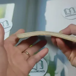 Đức Năng Thắng Số - Lê Phương Chi 727345